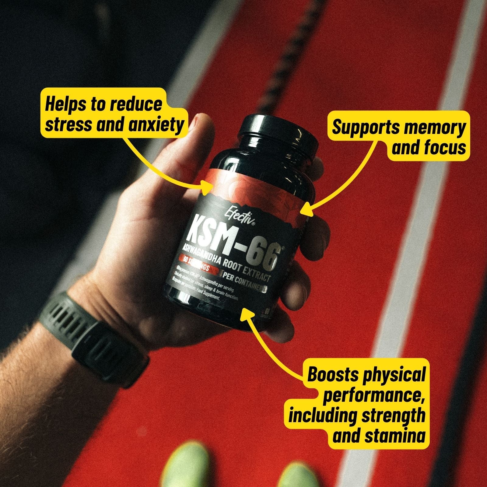 EFECTIV® KSM-66® Ashwagandha | 60 Servings